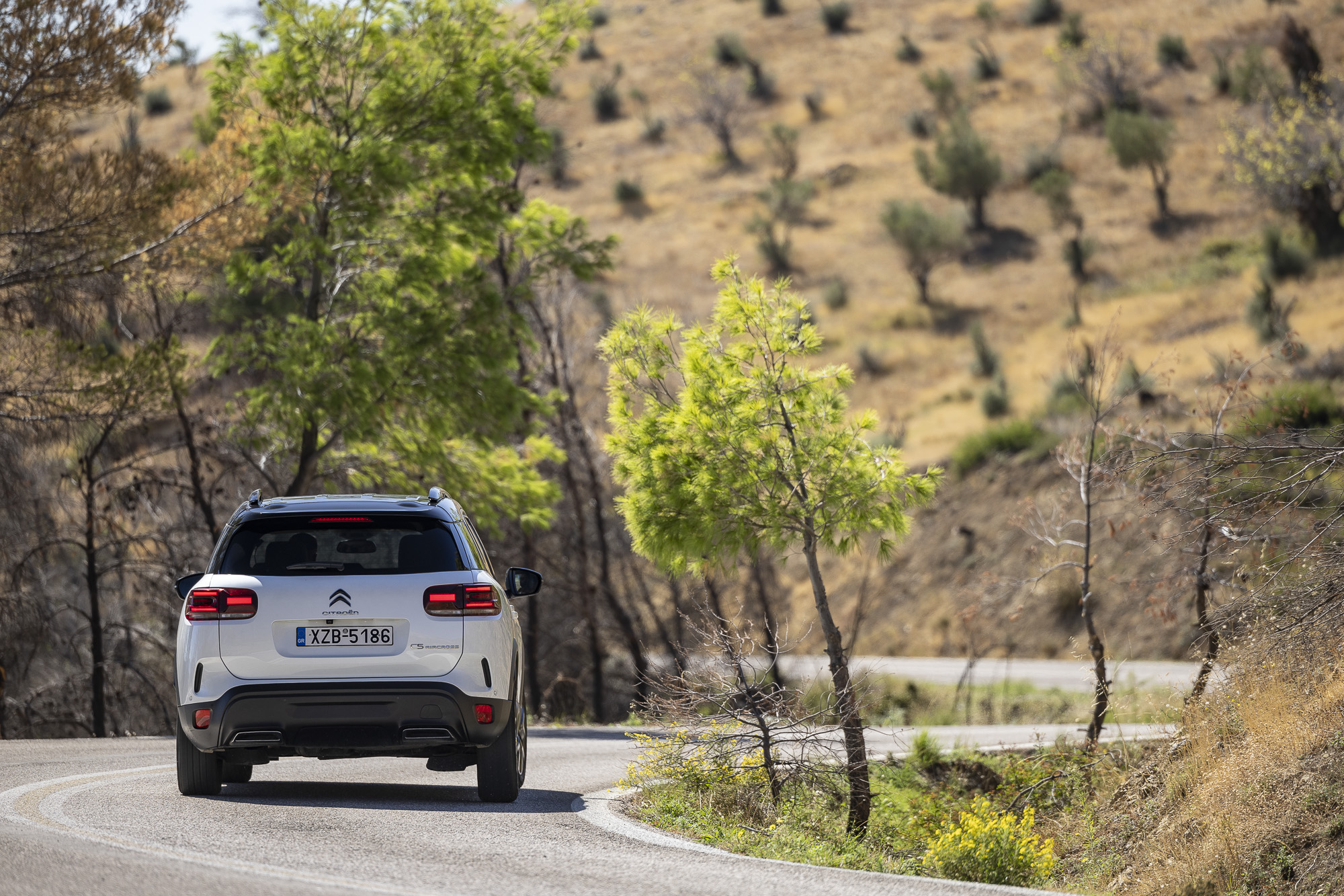 SUV, Citroën C5 Aircross 1.5 BlueHDi vs Hyundai Tucson 1.6D