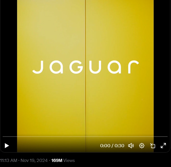 Jaguar Copy Nothing