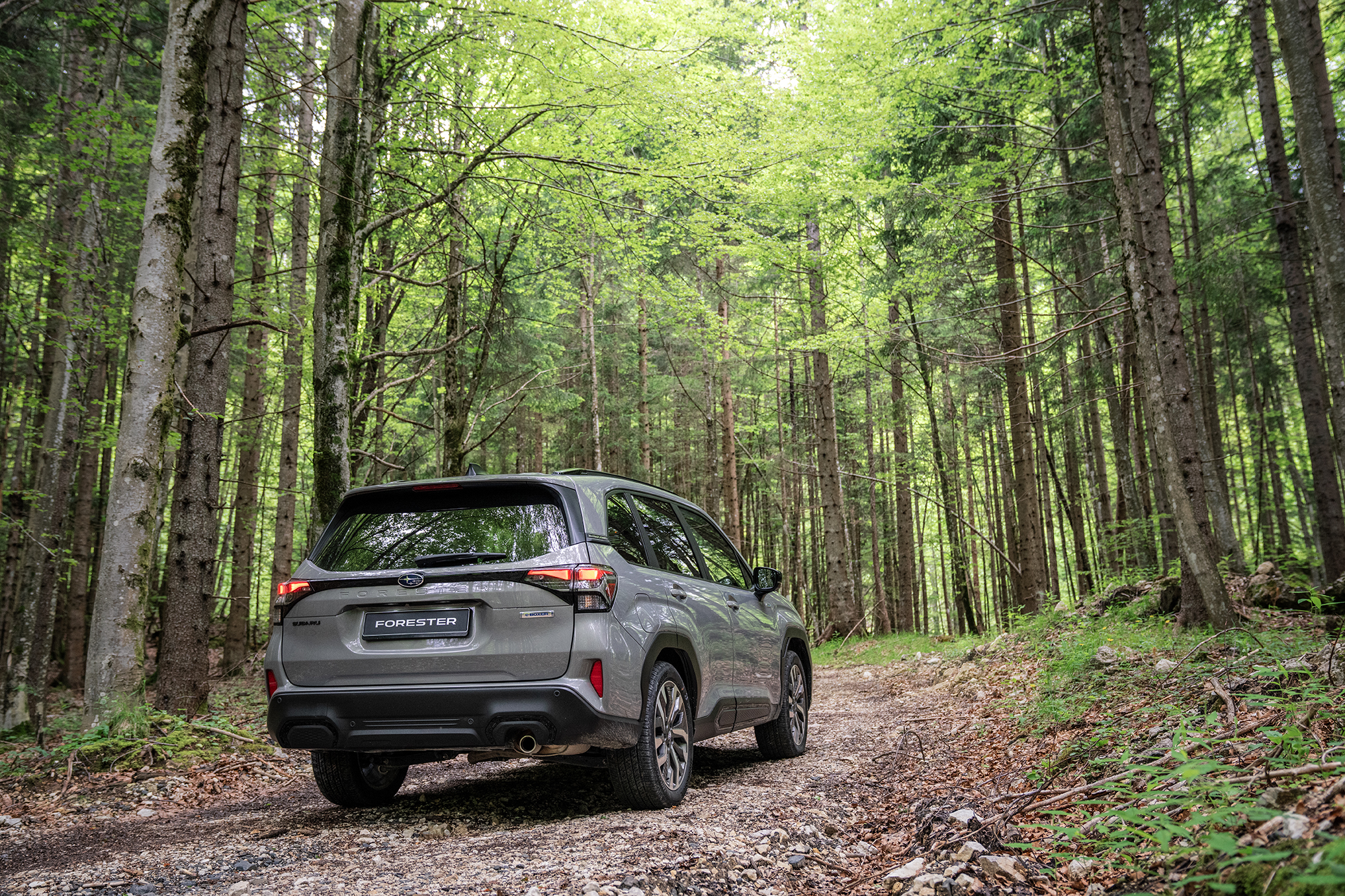 Test Drive: Subaru Forester 2.0i e-BOXER, Photos © Subaru