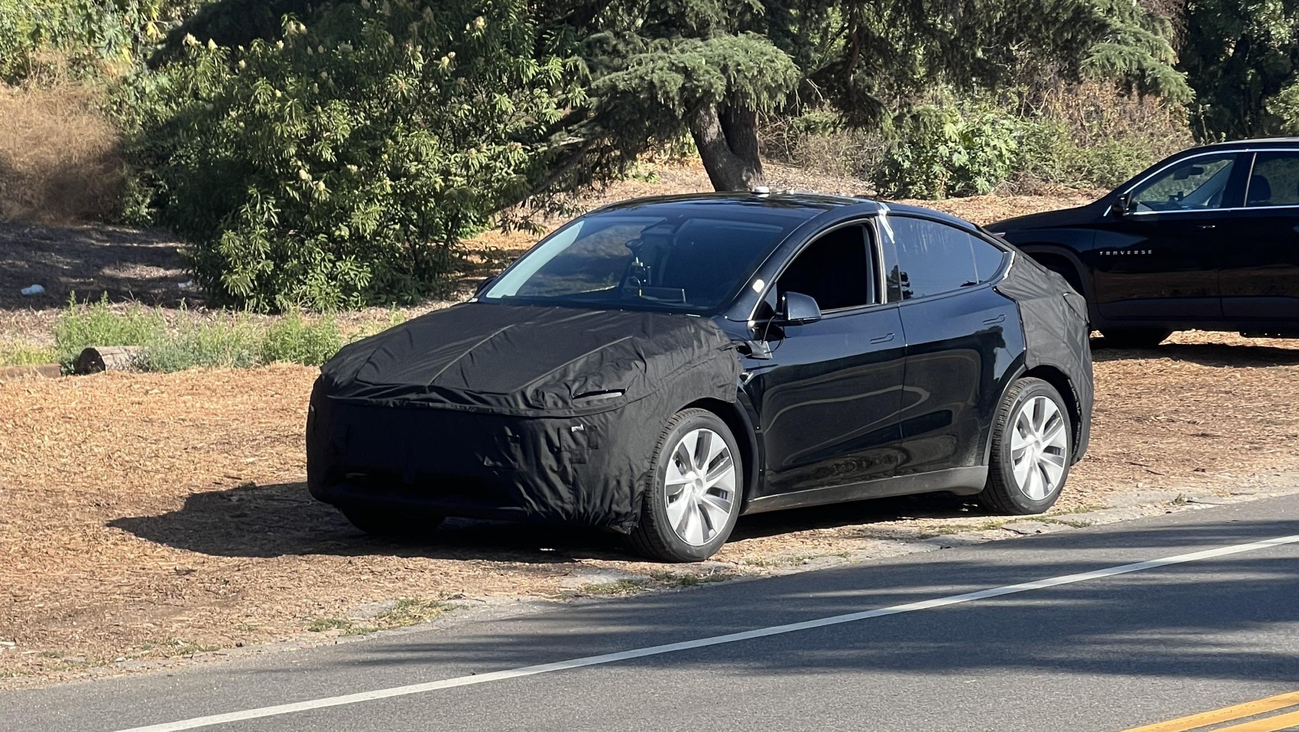 Model Y